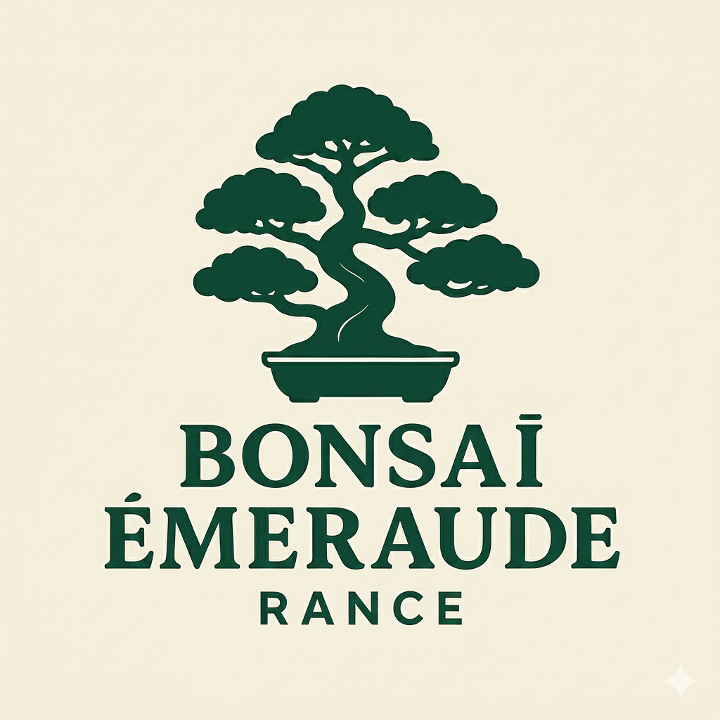 Logo Bonsai Émeraude Rance